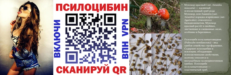 наркошоп  Неман  Псилоцибиновые грибы Psilocybine cubensis 